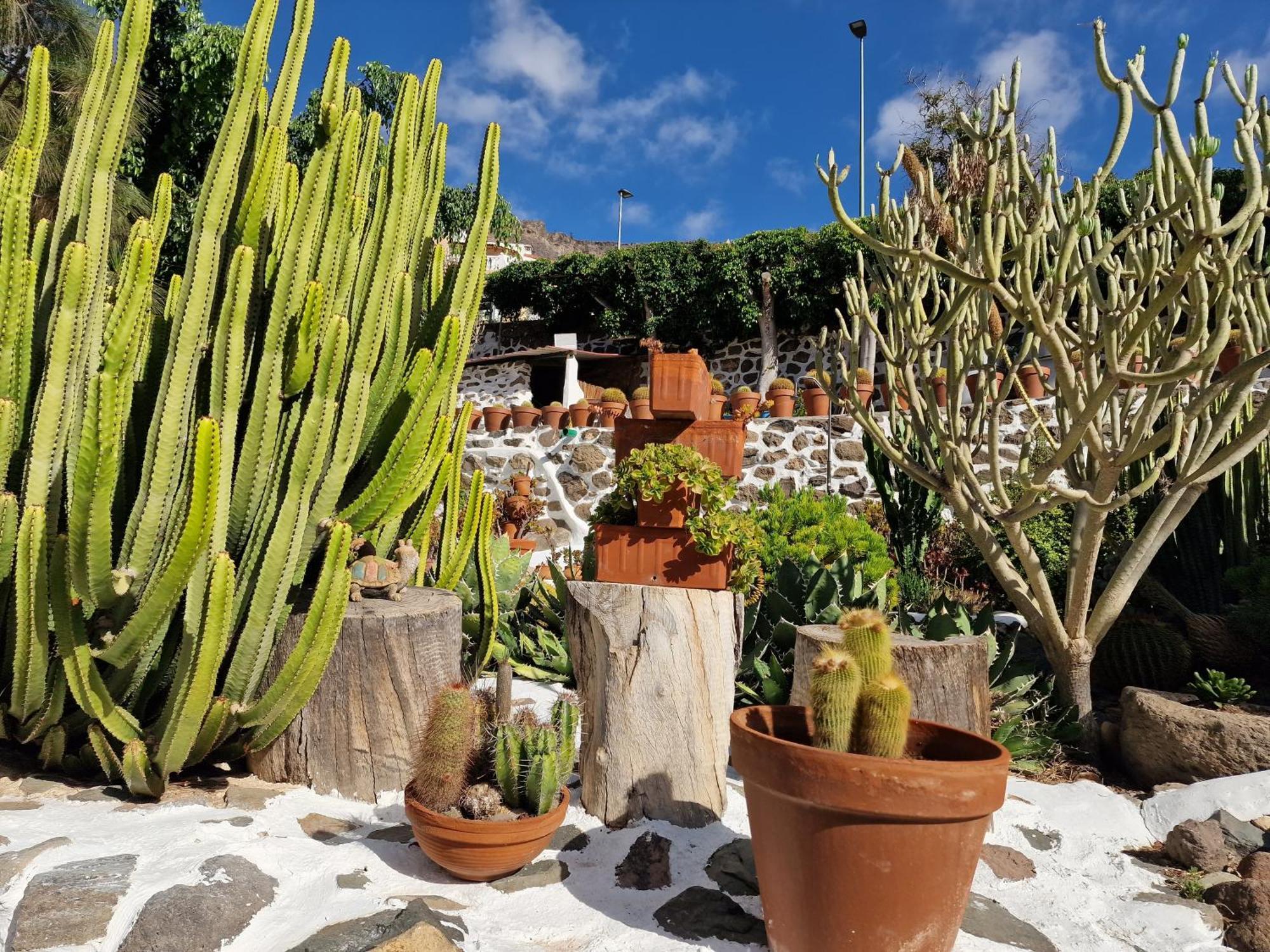 Historica Casa Con Vistas Al Jardin De Cactus Y Montanas Villa Mogán Exterior foto
