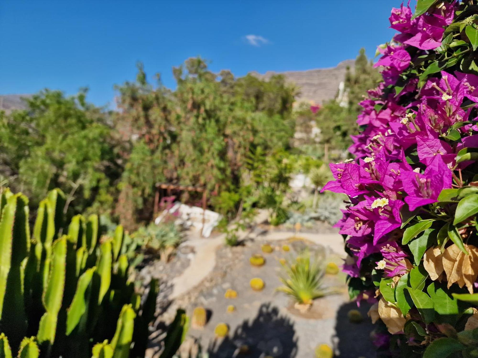 Historica Casa Con Vistas Al Jardin De Cactus Y Montanas Villa Mogán Exterior foto