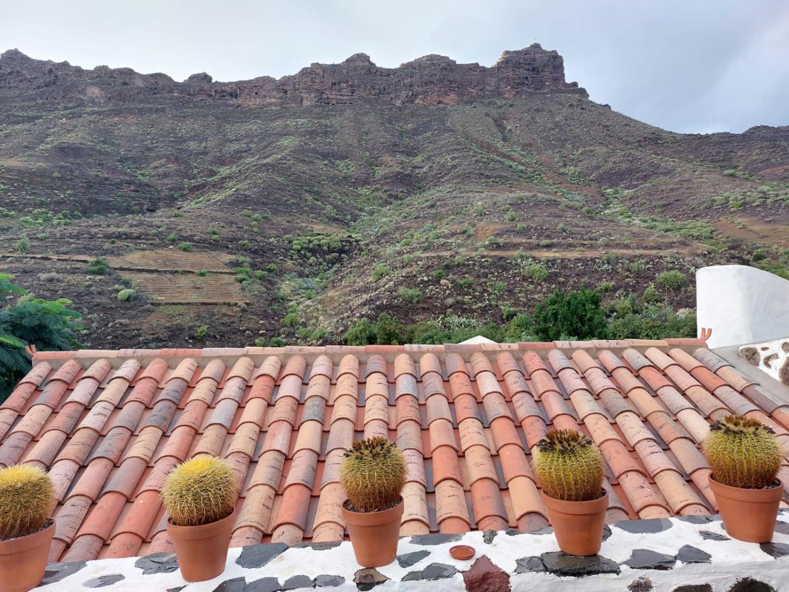 Historica Casa Con Vistas Al Jardin De Cactus Y Montanas Villa Mogán Exterior foto